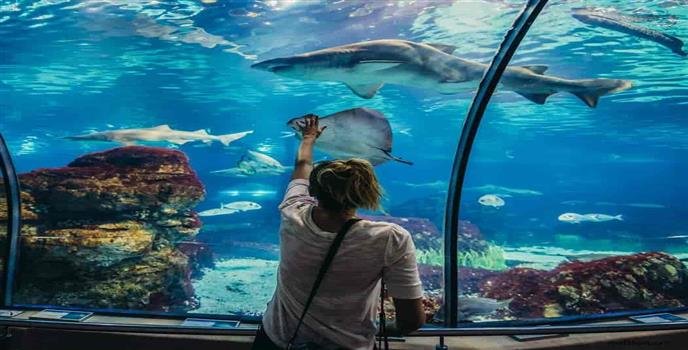 Hurghada Grand Aquarium 